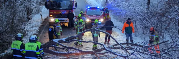 Einsatz – THL Baum über Straße