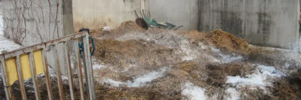 Einsatz #2 – Brand eines Misthaufens